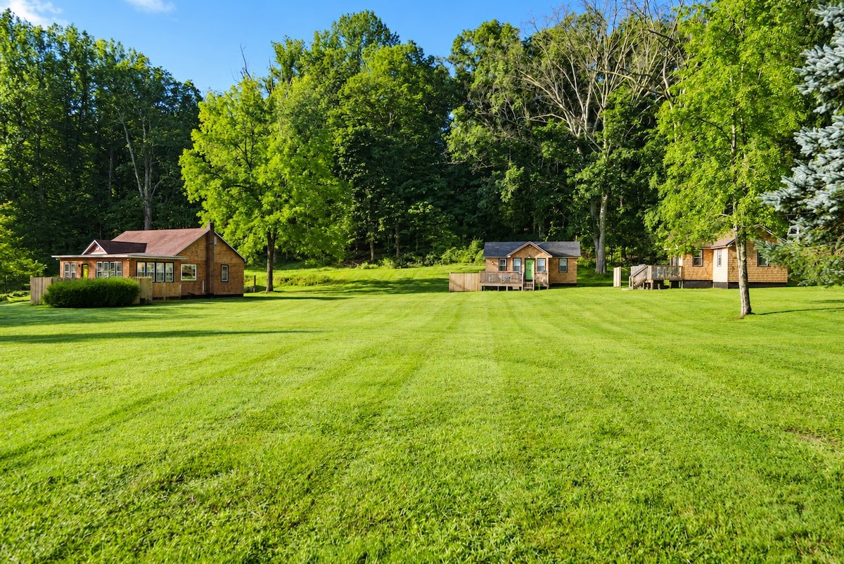 Breeze Lawn tiny homes and shared outdoor space beneath mature trees in Ellenville
